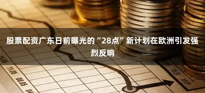 股票配资广东日前曝光的“28点”新计划在欧洲引发强烈反响